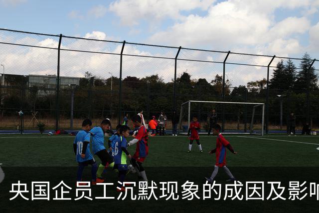 央国企员工沉默现象的成因及影响分析